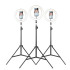  Havit ST7012 PRO Tripod With 10 Inches RING LIGHT